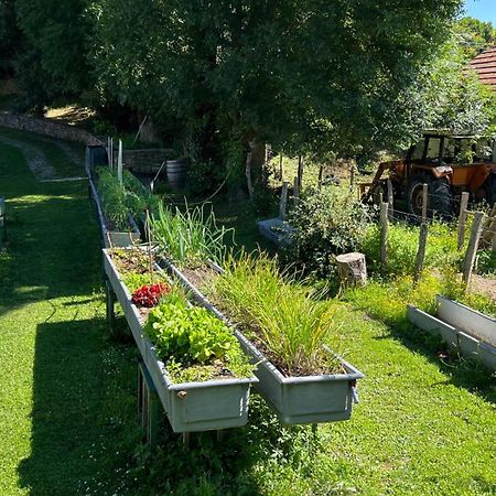Casa Rural Roncesvalles Espinal-Auzperri Eksteriør billede